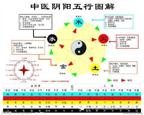 五行 相生|五行相生相剋:五行,四季五行,相生相剋,概念對應,五行。